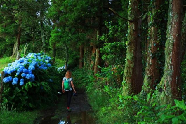 By The Sea Azores Ribeira Grande Esterno foto